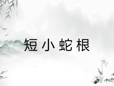 短小蛇根