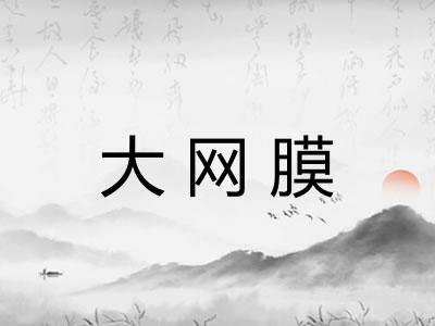 大网膜