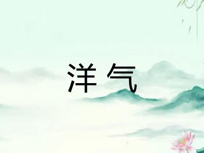 洋气 洋气