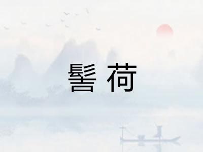 髻荷
