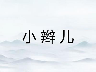 小辫儿 小辫儿