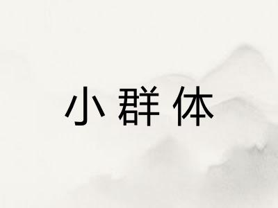 小群体