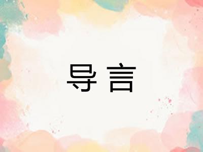导言