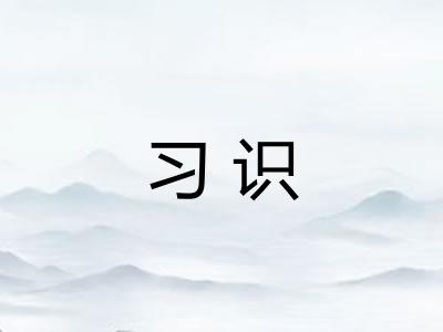 习识