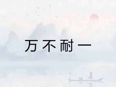 万不耐一