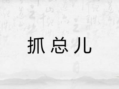 抓总儿