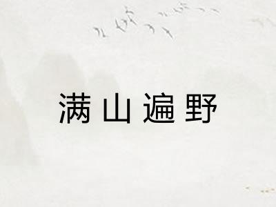 满山遍野 满山遍野
