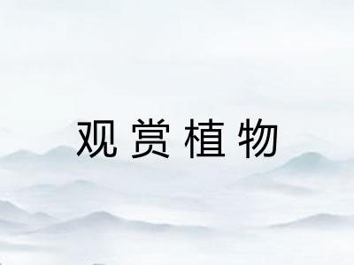 观赏植物