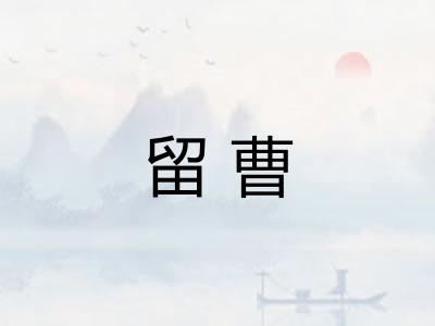 留曹 留曹