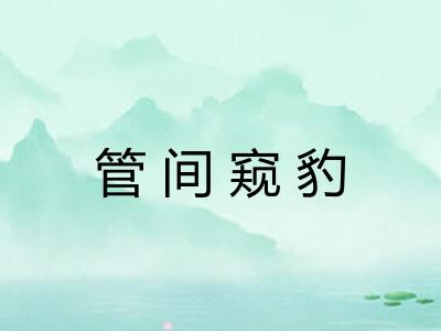 管间窥豹