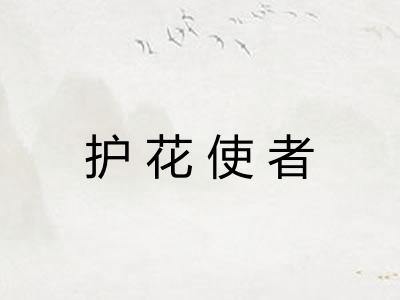 护花使者 护花使者