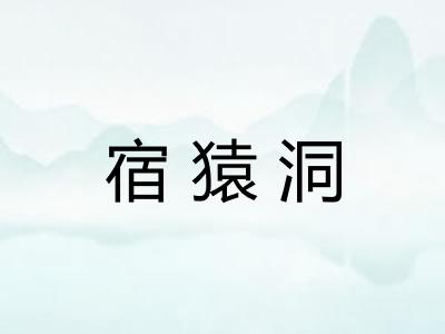宿猿洞