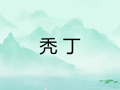 秃丁