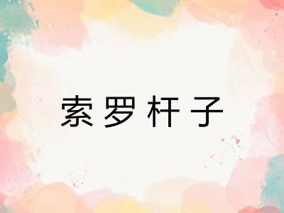 索罗杆子 索罗杆子