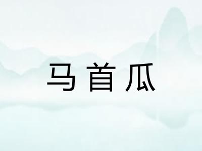 马首瓜