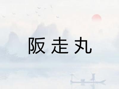 阪走丸