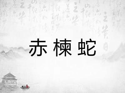 赤楝蛇