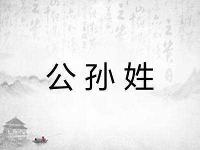 公孙姓 公孙姓