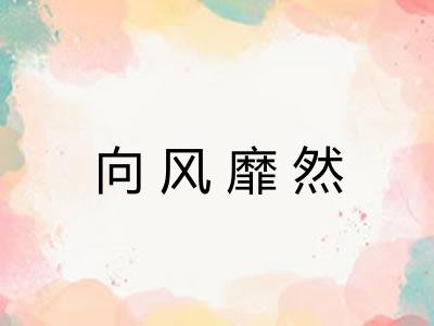 向风靡然
