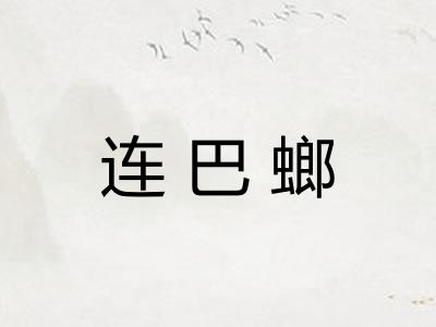 连巴螂 连巴螂