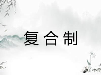 复合制 复合制