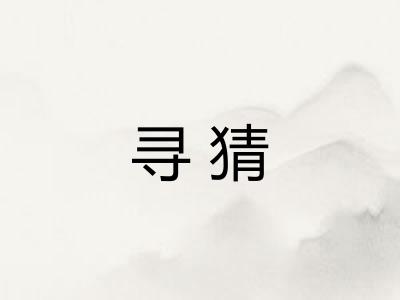 寻猜