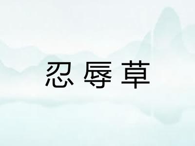 忍辱草 忍辱草