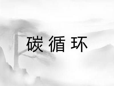 碳循环 碳循环