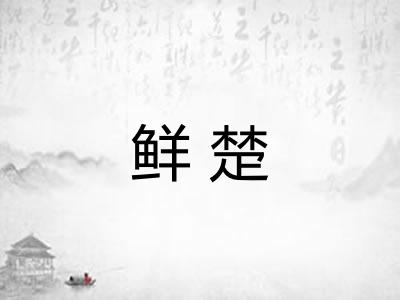 鲜楚