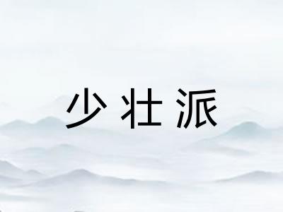 少壮派