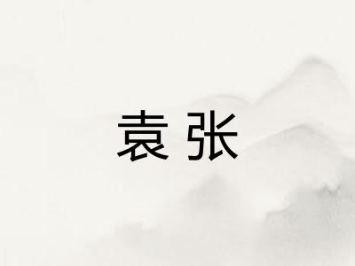 袁张