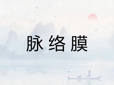 脉络膜 脉络膜