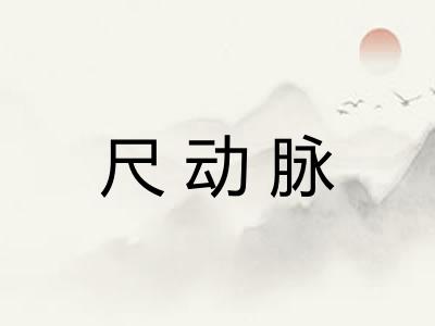 尺动脉 尺动脉