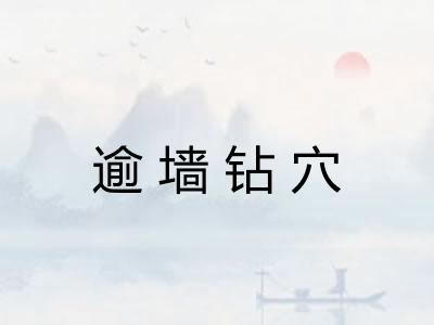 逾墙钻穴