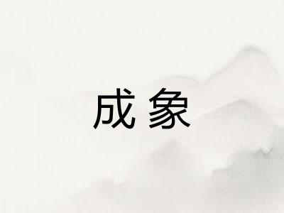 成象 成象