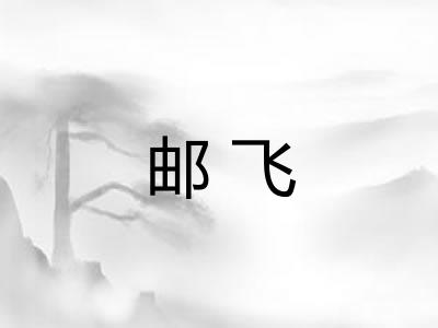 邮飞
