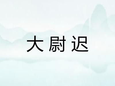 大尉迟 大尉迟