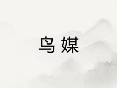 鸟媒