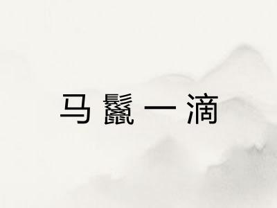 马鬣一滴 马鬣一滴