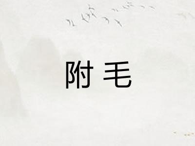 附毛
