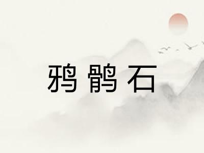 鸦鹘石