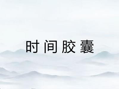 时间胶囊