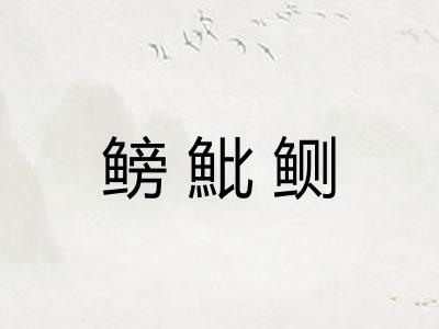 鳑魮鲗 鳑魮鲗