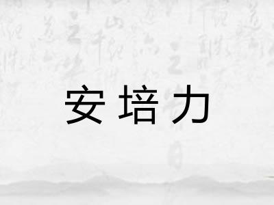 安培力 安培力