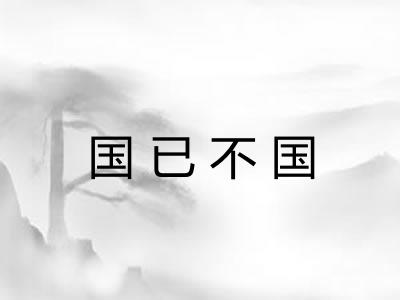 国已不国