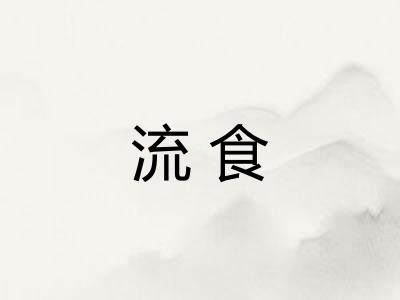 流食