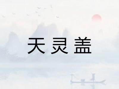 天灵盖