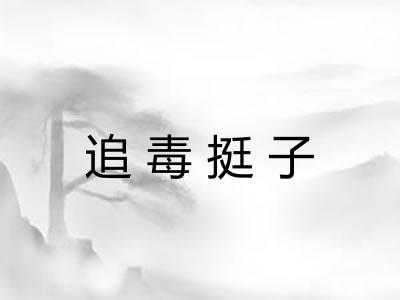 追毒挺子 追毒挺子