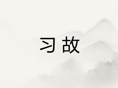 习故