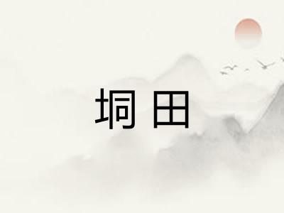 垌田